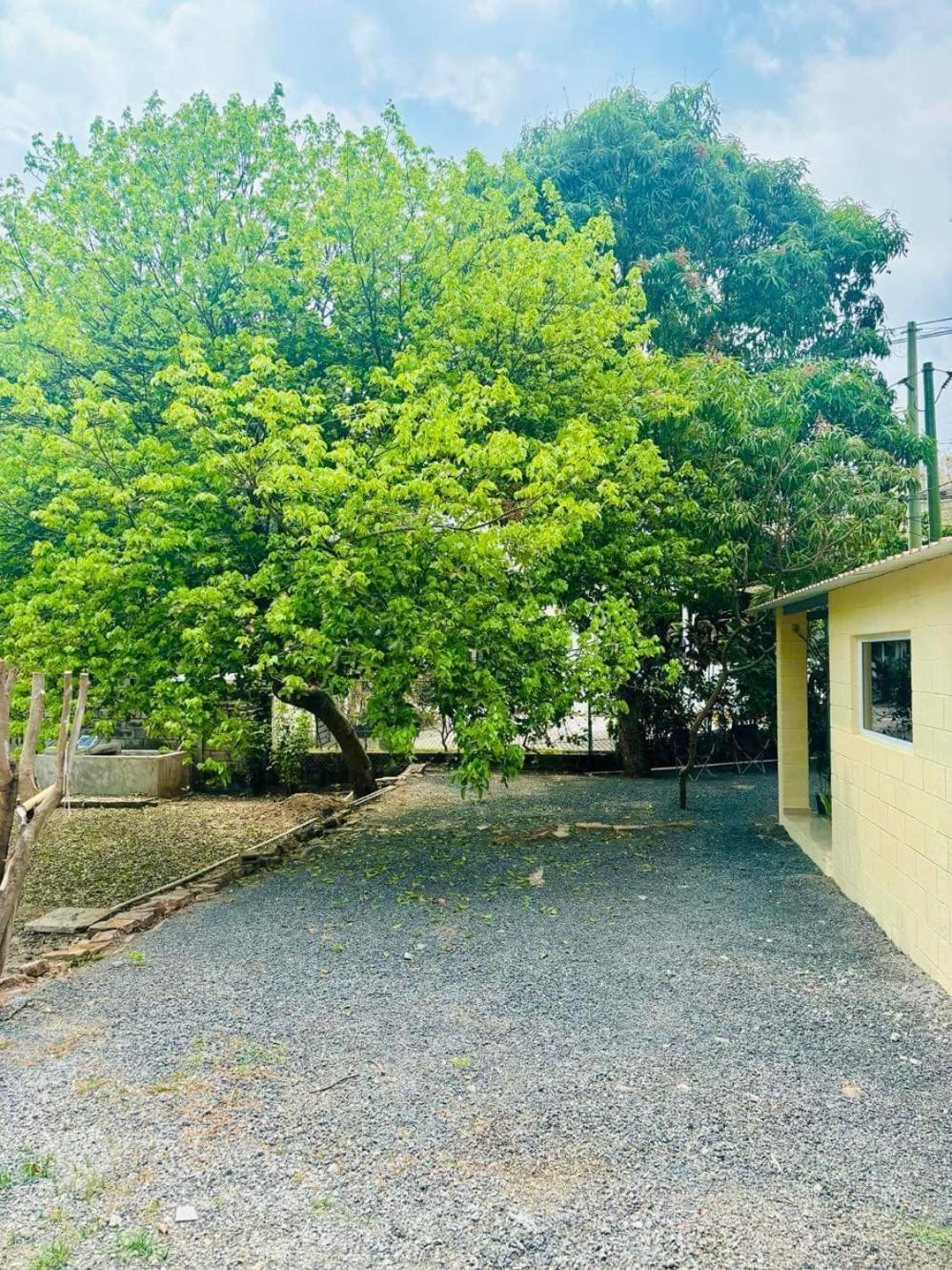 Hostal Camila'S Tamanique Экстерьер фото